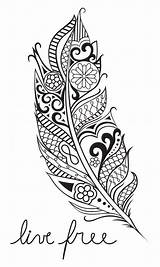 Stencil Stencils Maori Feder Ausmalen Plume Tatouage Federn Tatouages Mandalas Toile Ambitious Zen Gemerkt Paisley Abrir sketch template