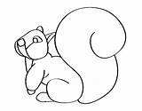 Tail Coloring Squirrel Large Coloringcrew sketch template