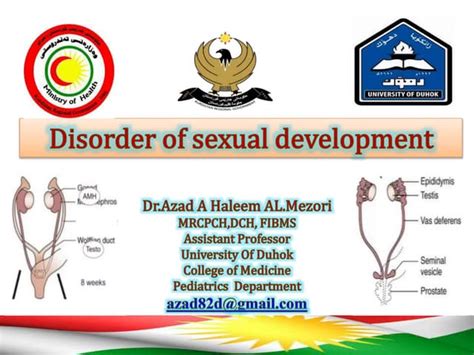 Disorder Of Sexual Development Ppt