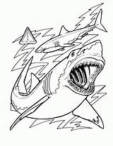 Coloring Shark Pages Sharks Printable Print Kids Hungry Evolution Megalodon Adults Color Jaws Cartoon Great Drawing Ocean Template Book Bestcoloringpagesforkids sketch template