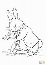 Rabbit Carrots Stealing Beatrix Colorare Ausmalbilder Supercoloring Hase Carrot Coniglio Kaninchen Lapin Malvorlagen Ausmalbild Ostern Niedliches Malvorlage Incantevole Coloriage Clipground sketch template