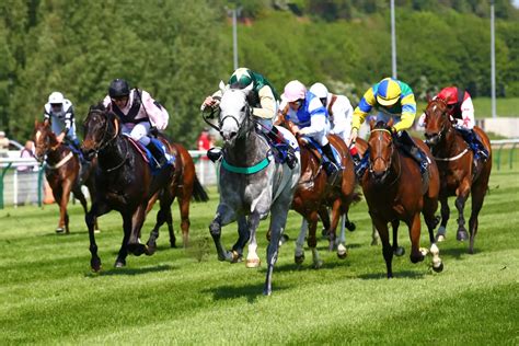 types  horse racing winners odds