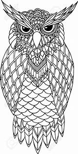 Zentangle Owls Handdrawn sketch template