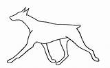 Doberman Coloring Pages Drawing Pinscher Printable Colouring Preschool Getdrawings Enjoyable Homework Worksheets Includes Section Age Every sketch template