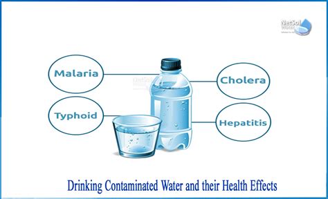 effects  contaminated water  human health