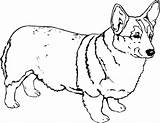 Corgi Coloring Pages Dog Colouring Line Corgis Vinyl Decal Personalize Decals Printable Kids Signspecialist Print Color Choose Board Sketch General2 sketch template
