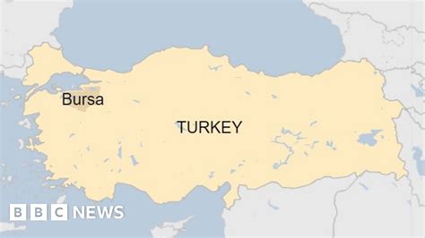 Turkey Missing Man Joins Search Party Looking For Himself Bbc News