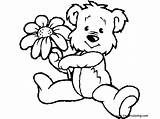 Bear Coloring Teddy Pages Flower Flowers Drawing Holding Printable Spring Build Kids Bears Dltk Baby Clipart Adults Clip Holidays Little sketch template