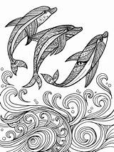 Dolphin Zentangle Delfines Dolphins Delfin Three Dolfijn Colouring Freepik Olas Coloringpagesfortoddlers Hand Plantilla Dibujados Tiere Ausmalen Drawing Animals Dibujar Waves sketch template