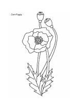 Remembrance Flowering sketch template