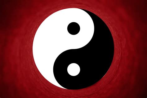 yin  philosophy  costa rica news