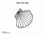 Clam Coloring Sponsors Wonderful Support Please sketch template