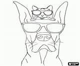 Marmaduke Dane Hond Kleurplaat Diversen Kleurplaten Katze Hund Gato Perro sketch template
