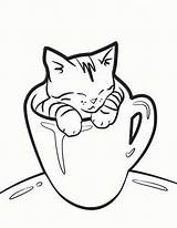 Face Kitten Drawing Coloring Cat Getdrawings sketch template
