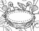 Nest Bird Coloring Pages Their Couple Empty Template Printable Place Getdrawings Getcolorings Color sketch template