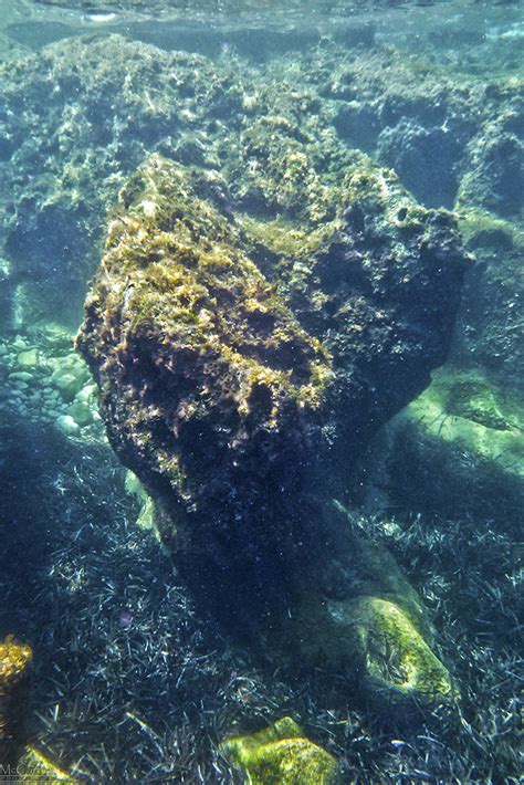 underwater rock strange underwater rock formation    flickr