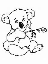 Koala Coloring Pages Kids Bear Printable Print Bears Cute Designlooter Bestcoloringpagesforkids Popular Comments 52kb 1600px 1200 Resolution sketch template