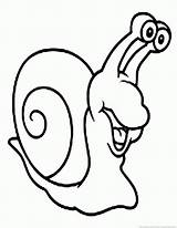 Snail Coloring Pages sketch template
