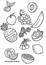 Obst Malvorlage Malvorlagen Ausmalbild Trinken Sorten Kostenlose Obstsorten sketch template