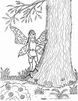 Cottonwood Fairies sketch template