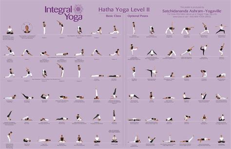 integral yoga hatha level  poster yoga yoga pinterest yoga