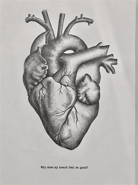 anatomie ideen anatomie anatomie kunst zeichnung vrogueco