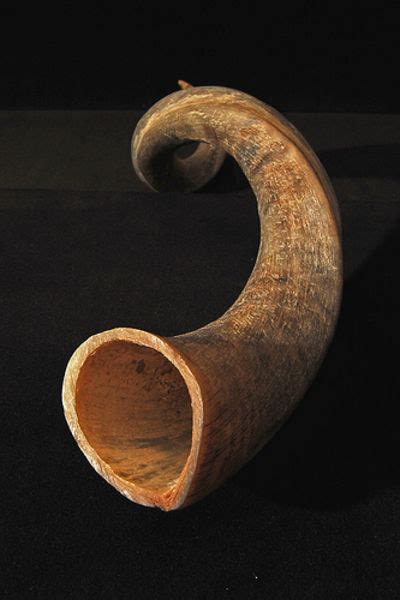 kudu horn