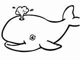 Whale Coloring Pages Humpback Printable Color Getcolorings Imposing Decoration Print sketch template