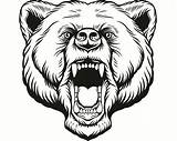 Bear Grizzly Face Head Animal Drawing Line Svg Growling Eps Mascot Getdrawings Printable Description sketch template