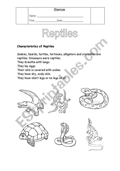 english worksheets reptiles