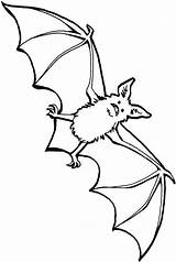 Liliac Planse Colorat Abendsegler Lilieci Stellaluna Alte Animale Supercoloring Copilul Malvorlagen Bats Fledermaus sketch template
