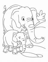 Elefantes Elephant Colorear Bebes Colouring Selva Elefante Desenho Elephants Bebé Tudodesenhos Bestcoloringpages Colorea sketch template