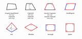 Quadrilateral Quadrilaterals sketch template