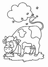 Kleurplaten Koeien Voor Afkomstig Nl Van Kids Coloring Pages sketch template