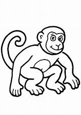Coloring Pages Monkey Cute sketch template