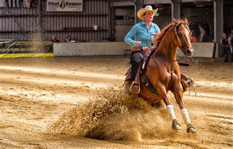 weird reining stop tips   work horse rookie