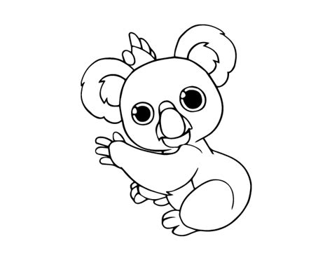 koala coloring page coloringcrewcom