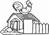 Coop Chicken Coloring Pages Crowing Rooster Netart Barn Color sketch template