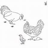 Coloring Family Book Chooks Window Different Open Will sketch template