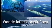Image result for Biggest sea. Size: 174 x 95. Source: www.youtube.com