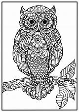 Coloring Owl Pages Mandala Adults Adult Mindfulness Mandalas Målarbild Drawing Bra Owls Colouring Book Books För Vuxna Printable Animal Zentangle sketch template