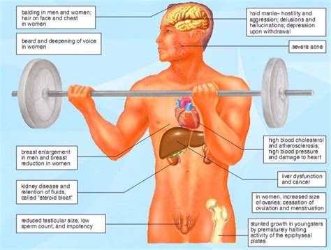 side effects of anabolic steroids medchrome