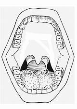 Coloring Mouth sketch template