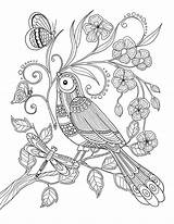 Coloriage Perroquet Mandala Coloring Pages sketch template