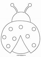 Ladybug Outline Coloring Clipart sketch template