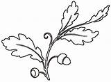 Oak Leaf Printable Stencil Outline Tree Leaves Coloring Clipart Popular sketch template