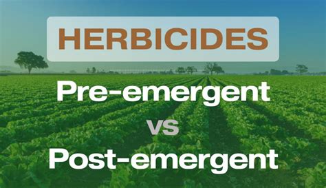 pre emergent  post emergent herbicides farmerdb