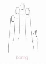 Nail Coloring Nails Hand Drawing Long Pages Plain Coffin Cute Logo sketch template