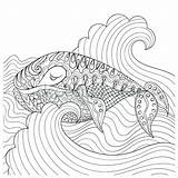 Coloring Urchin Sea Kelp Getcolorings Getdrawings Colorings Pages sketch template