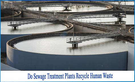 sewage treatment plants recycle human waste